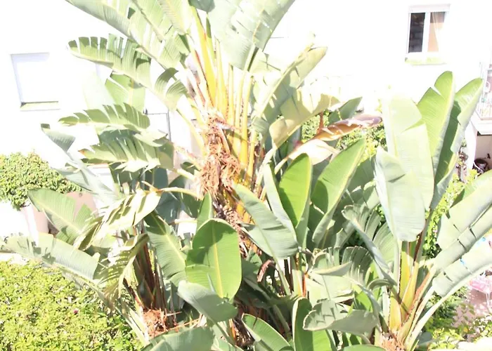 Дом отдыха Adosado En Urbanizacion Con Piscina Эстепона