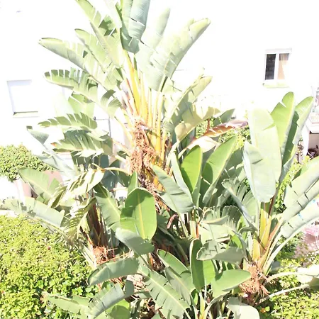 Holiday home Adosado En Urbanizacion Con Piscina Estepona